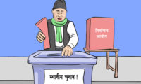 local institute election