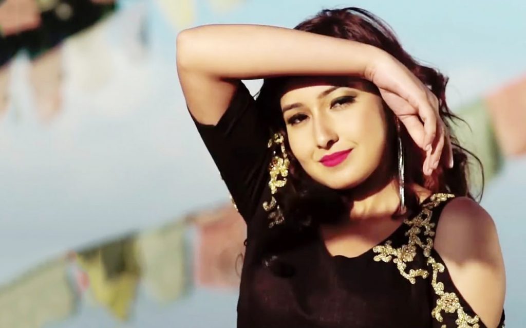 Anchal Sharma, Achal Sharma Nepali Actor