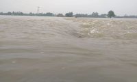 Flood on Rautahat, badhi in tarai