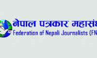 FNJ Nepali Journalist