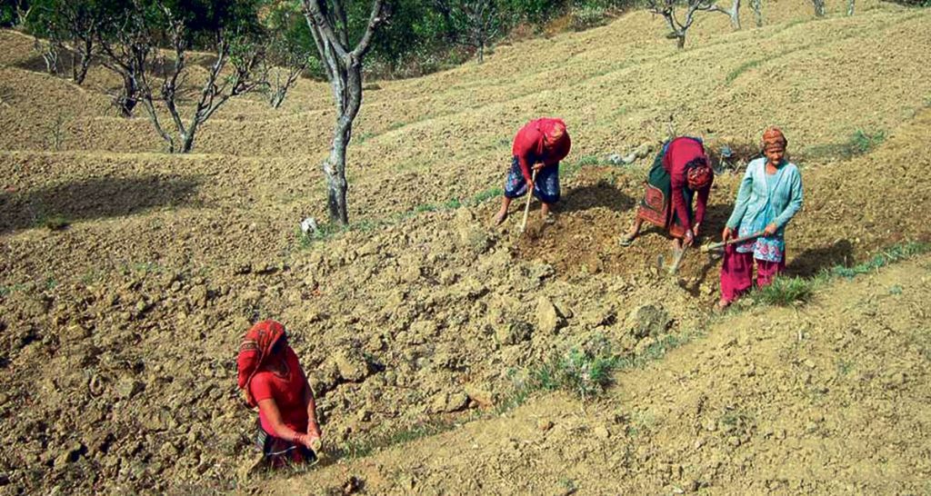 Agriculture in Nepal