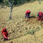 Agriculture in Nepal